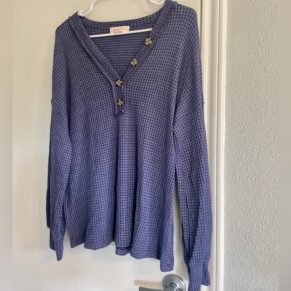 Blue Hailey & Co long sleeve top, never worn